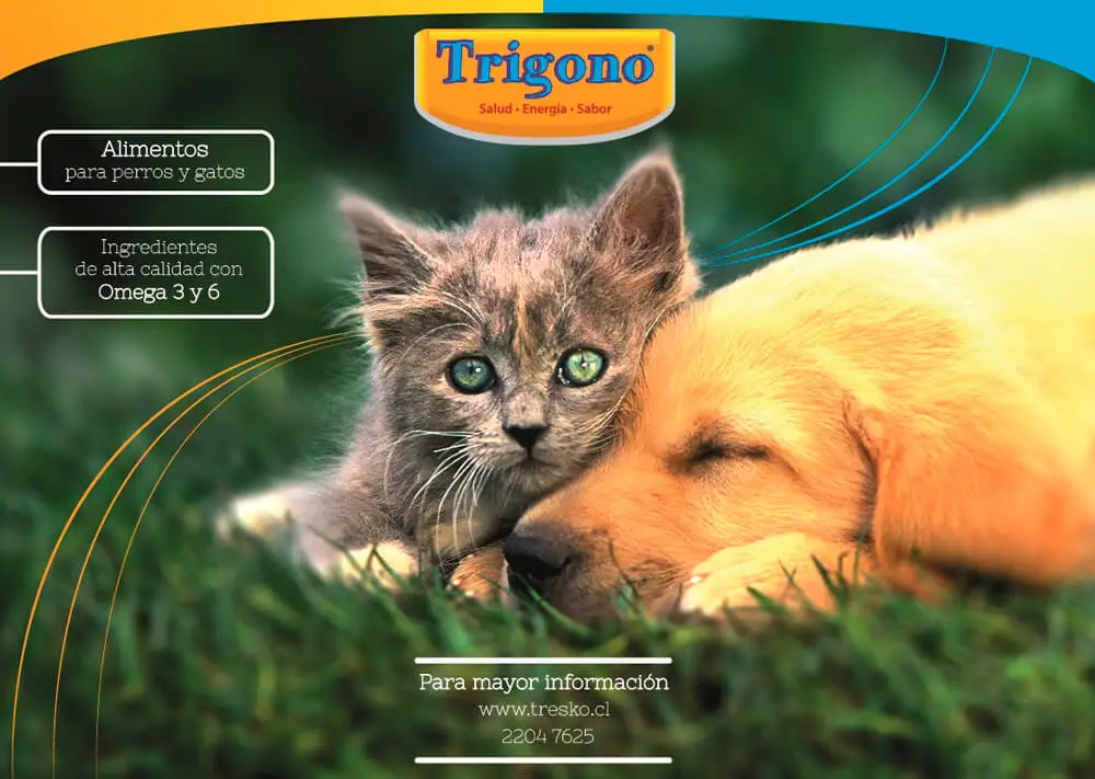 Tresko poster 4